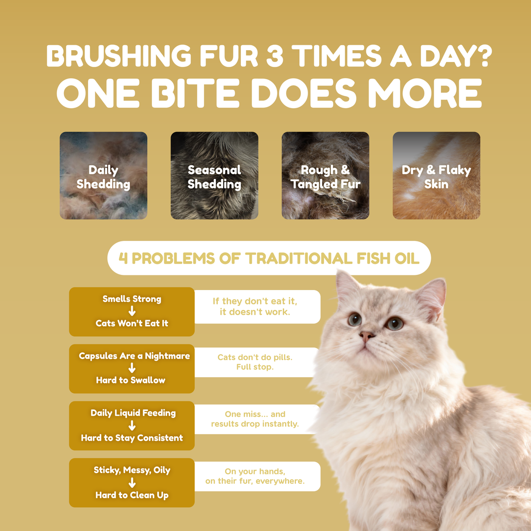 Pawmised Barf+ Fish Oil - Functional Complete Meal