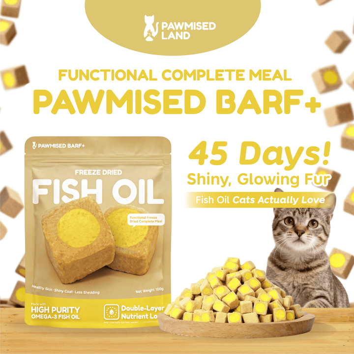 Pawmised Barf+ Fish Oil - Functional Complete Meal