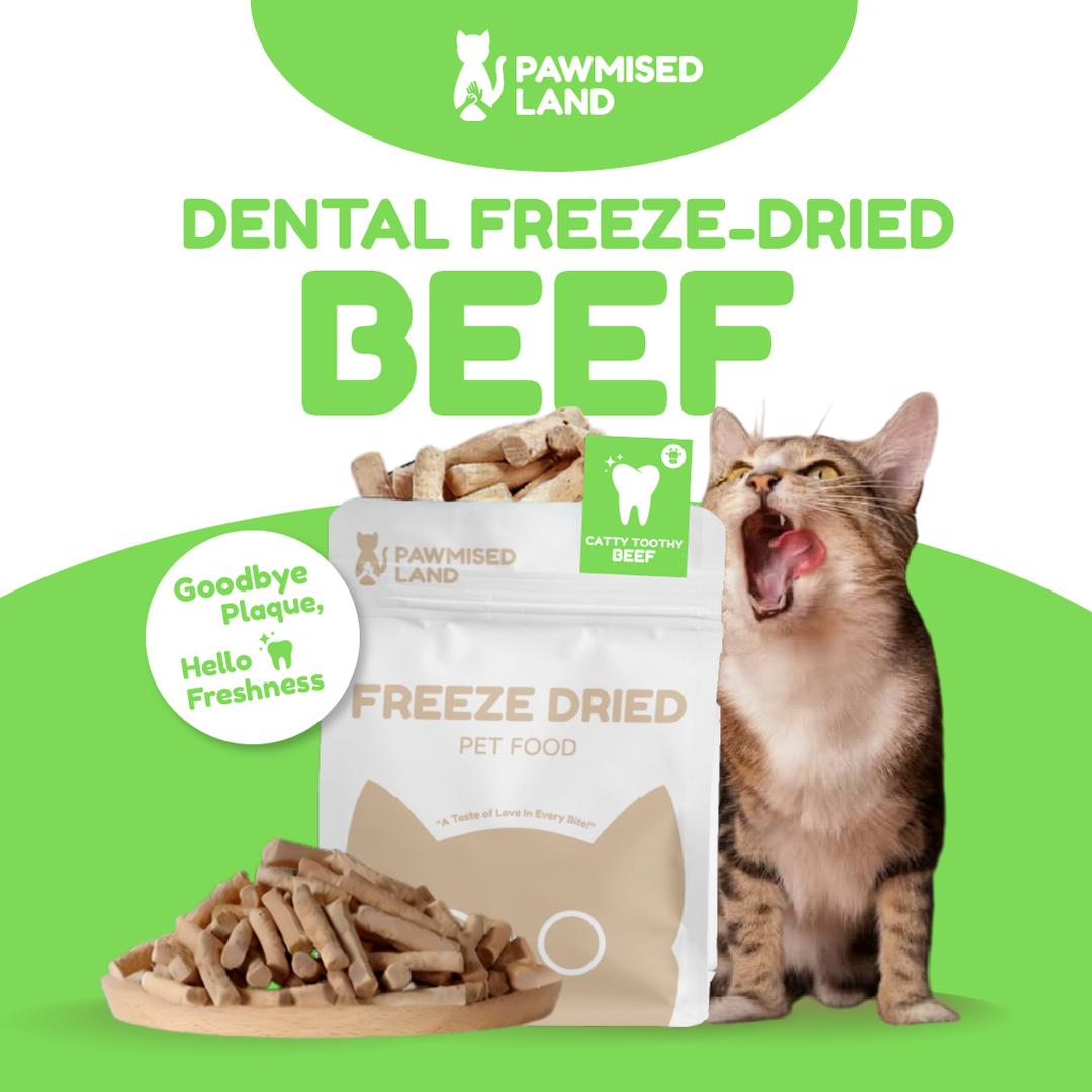 Catty Toothy - Dental Freeze Dried