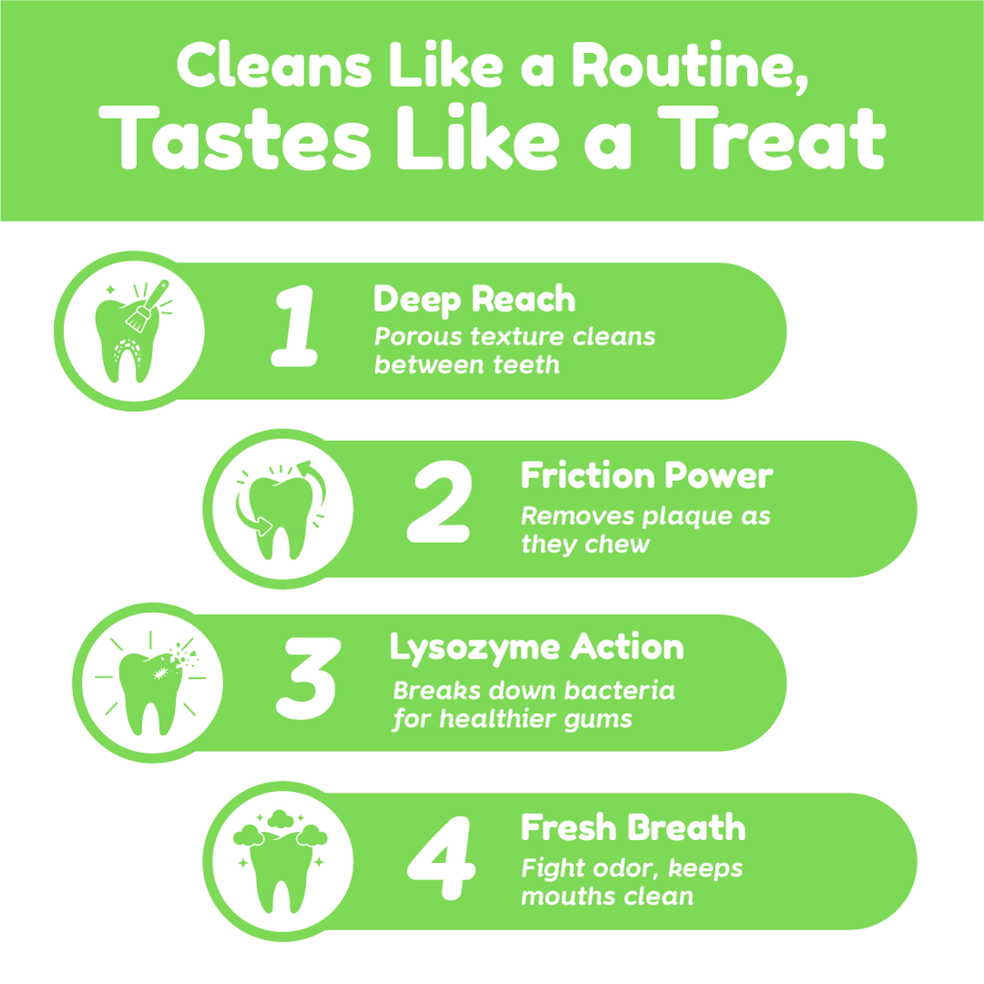 Catty Toothy - Dental Freeze Dried