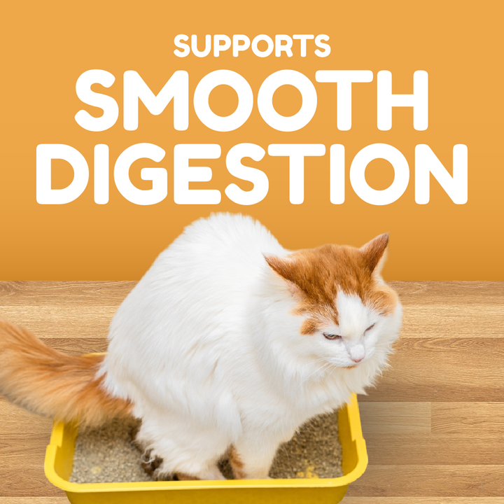 Catty Munchies - Functional Series