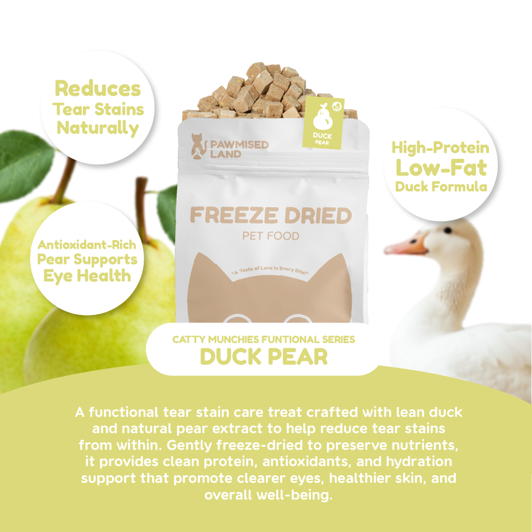 Catty Munchies - Functional Series