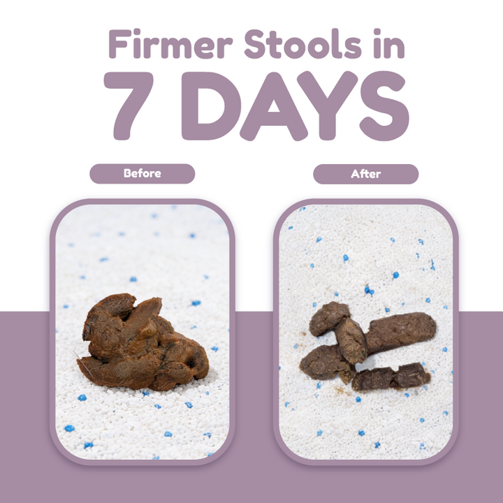 Catty Flossy - Goatmilk Postbiotics - Functional Freeze-Dried Meal Booster/Topper