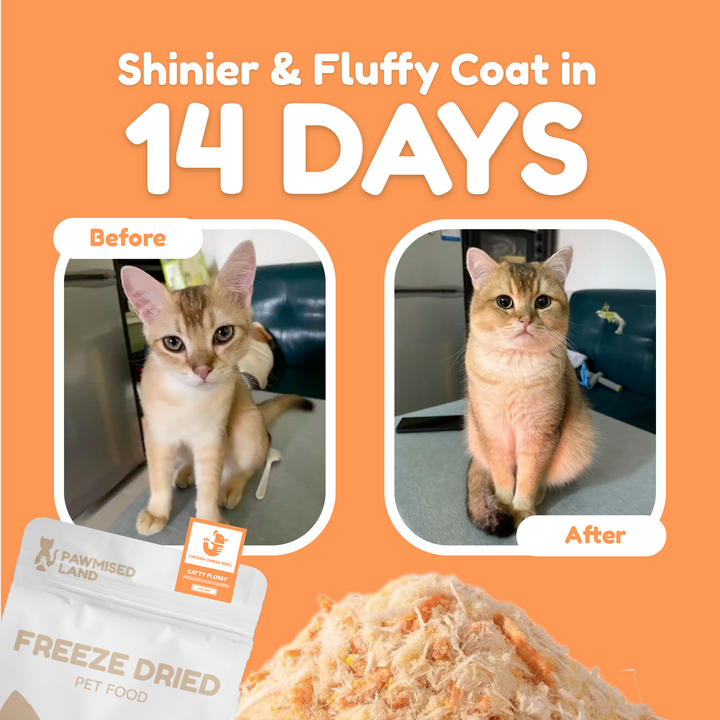 Catty Flossy - Chicken Omega Krill - Functional Freeze-Dried Meal Booster/Topper
