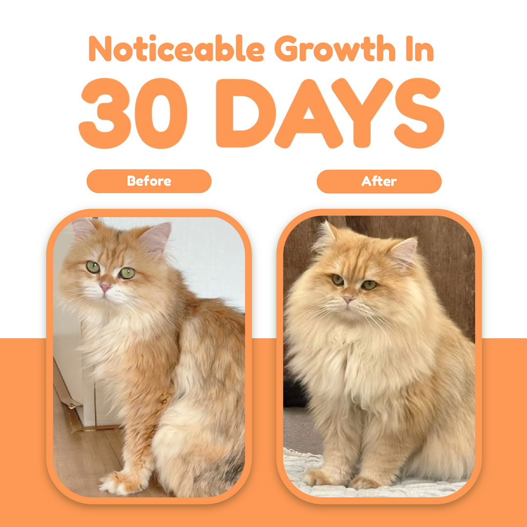 Catty Flossy - Chicken Omega Krill - Functional Freeze-Dried Meal Booster/Topper