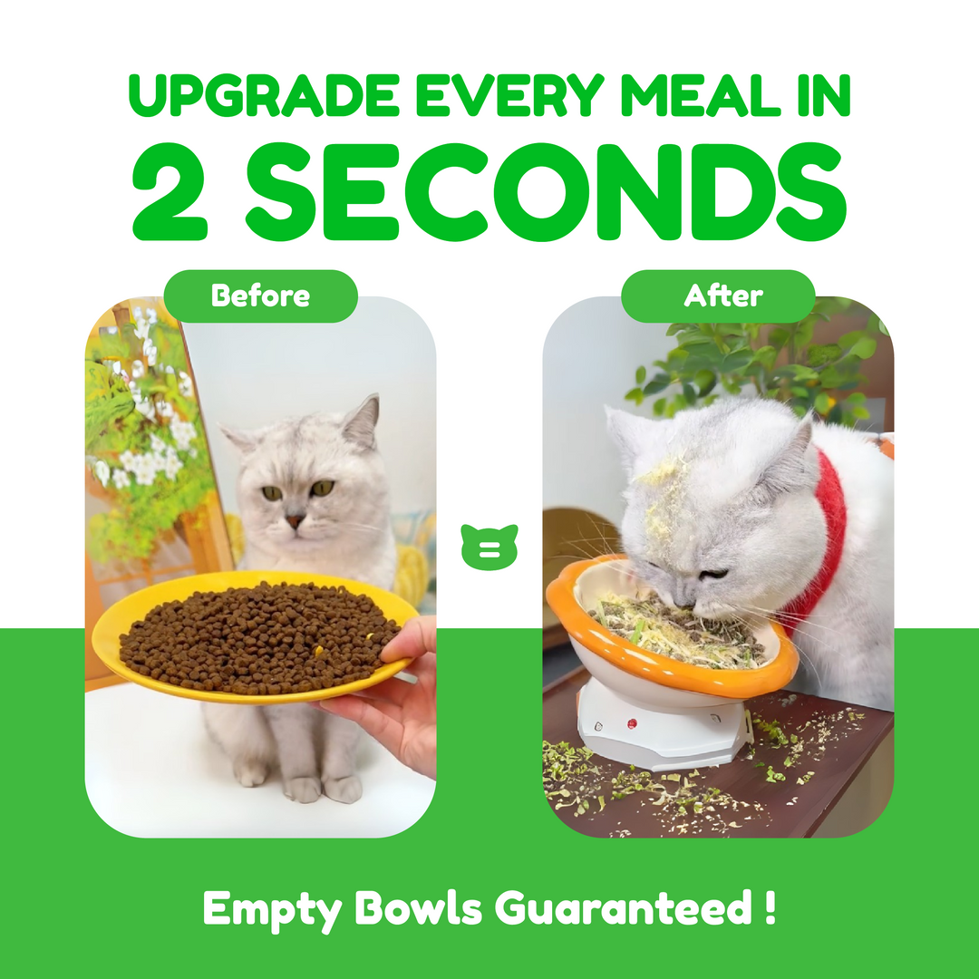 Catty Flossy - Chicken Catgrass - Functional Freeze-Dried Kibbles Topper