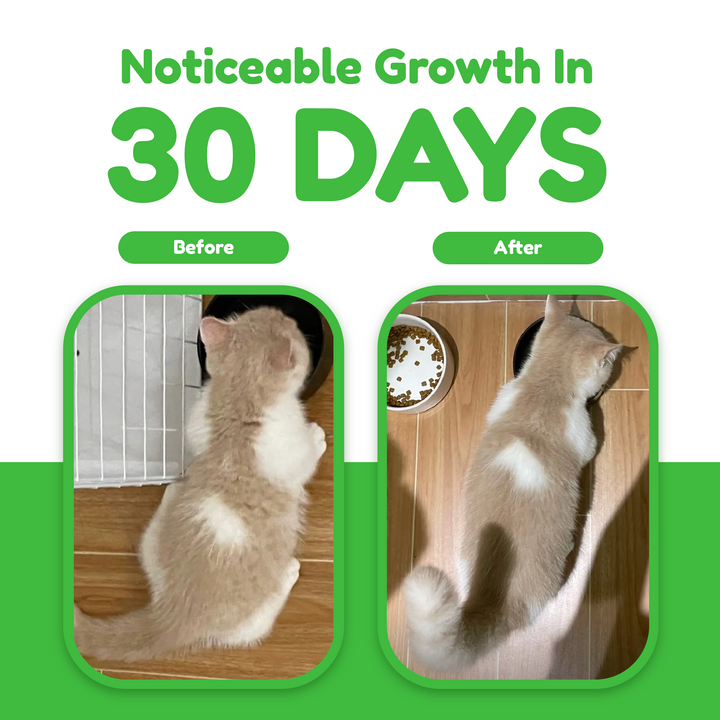 Catty Flossy - Chicken Catgrass - Functional Freeze-Dried Kibbles Topper