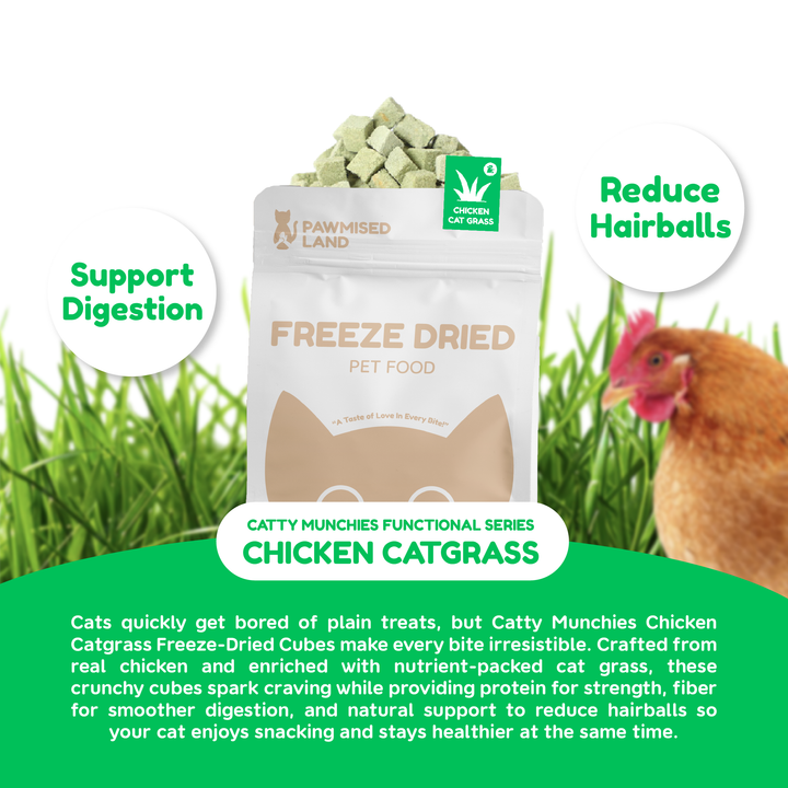 Pawmised Functional Trio Series