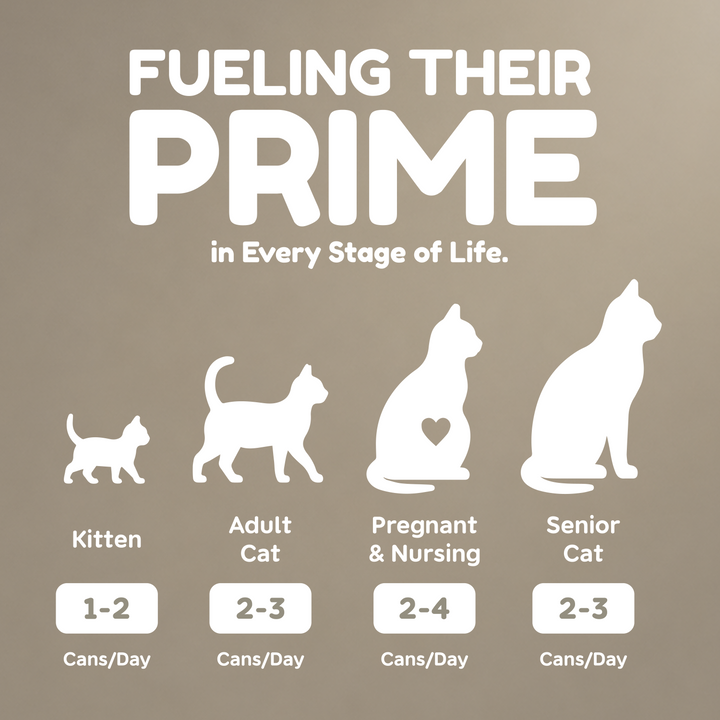 Pawmised Prime Canned Food