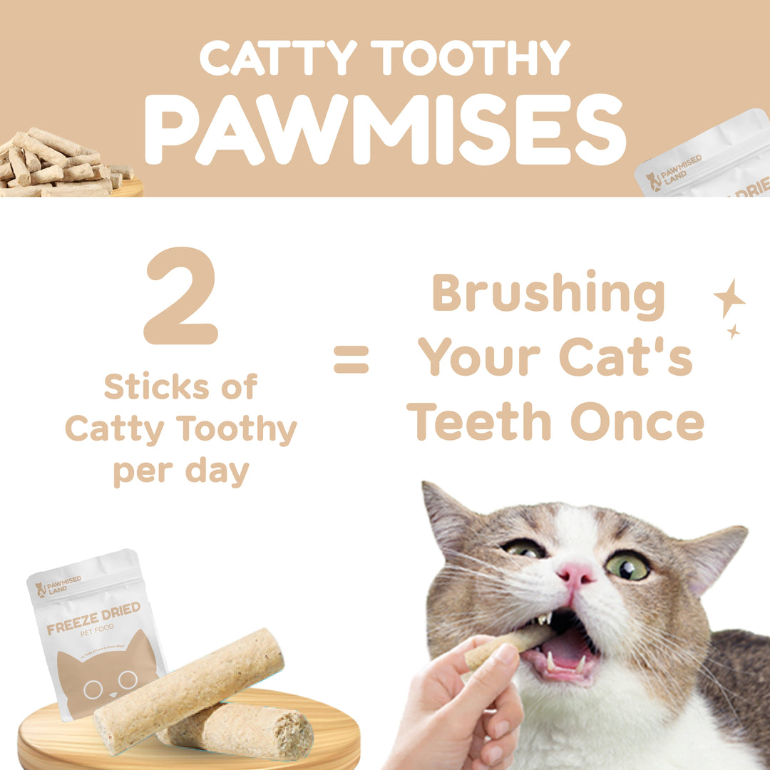 Catty Toothy - Dental Freeze Dried