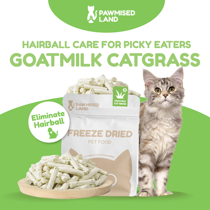 Catty Munchies - Functional Series