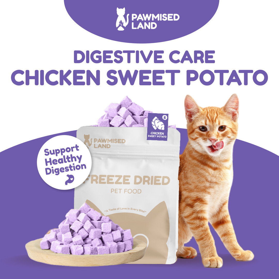 Catty Munchies - Functional Series