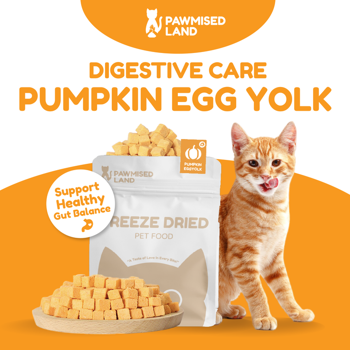 Catty Munchies - Functional Series