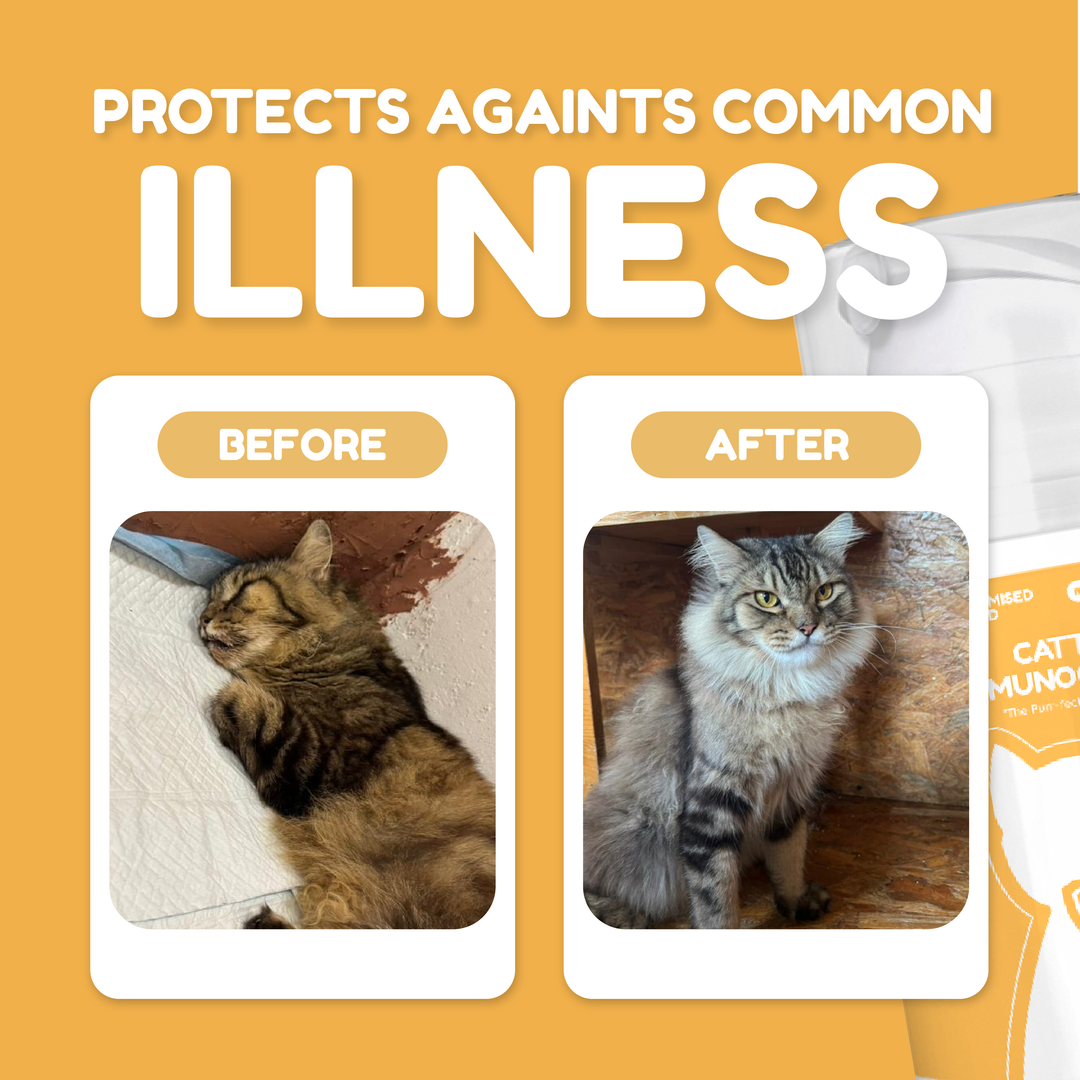 Catty ImmunoCrème - Emulsified Immune Booster