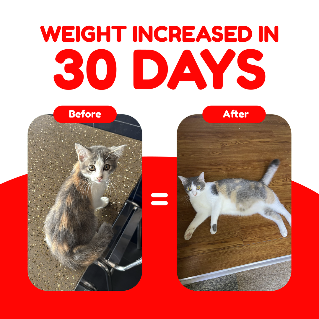 Catty Munchies Freeze Dried