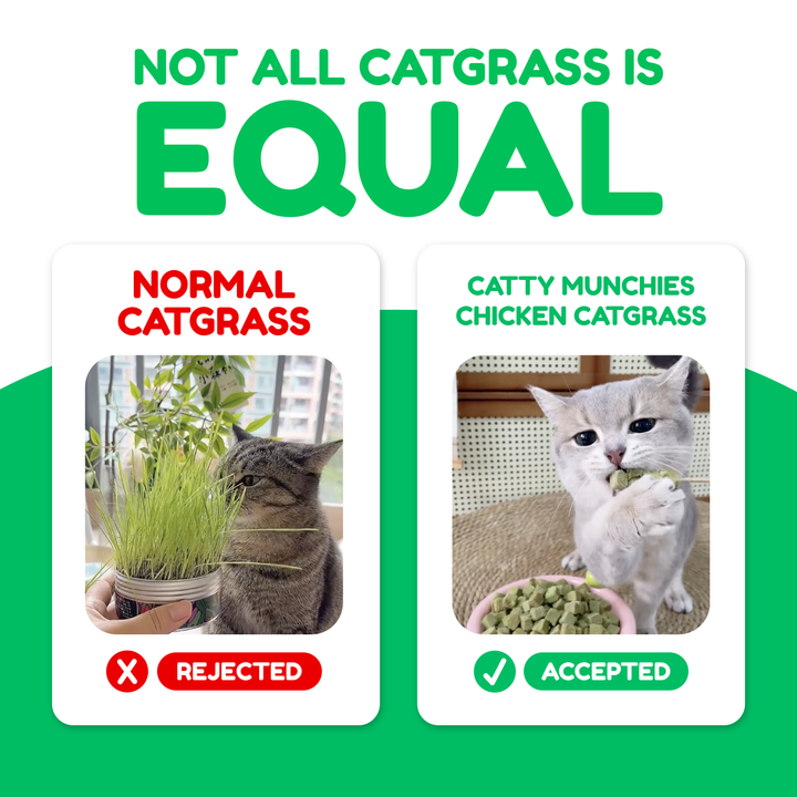 Catty Munchies - Functional Series