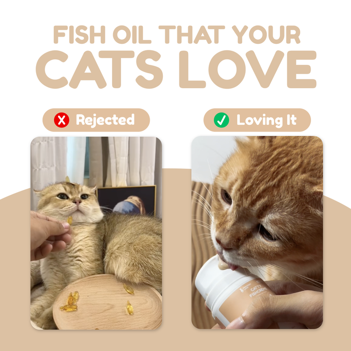 Catty FishCrème - Emulsified Fish Oil