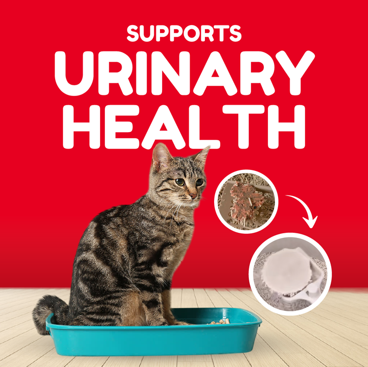 Catty Munchies - Functional Series