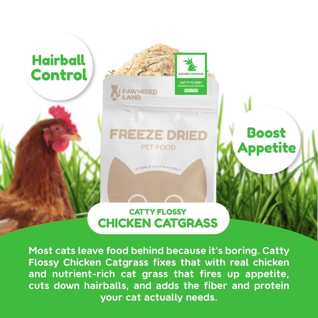 Catty Flossy - Chicken Catgrass - Functional Freeze-Dried Kibbles Topper